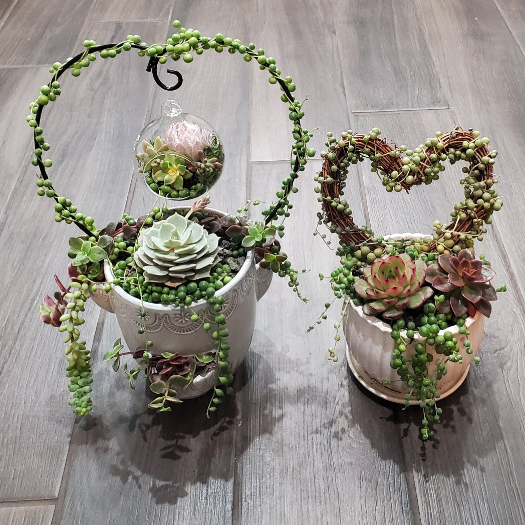 Hanging Terrarium Heart Trellis Arrangement Kit